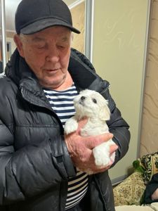 декоротивная порода.